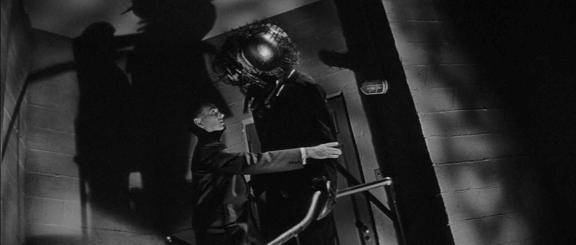 变蝇人老版2.Return.of.the.Fly.1959.CN.mkv_20250629_203439.083.jpg