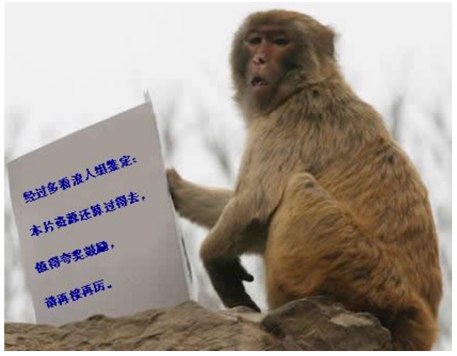 多看浪人组资源鉴定证书001.jpg