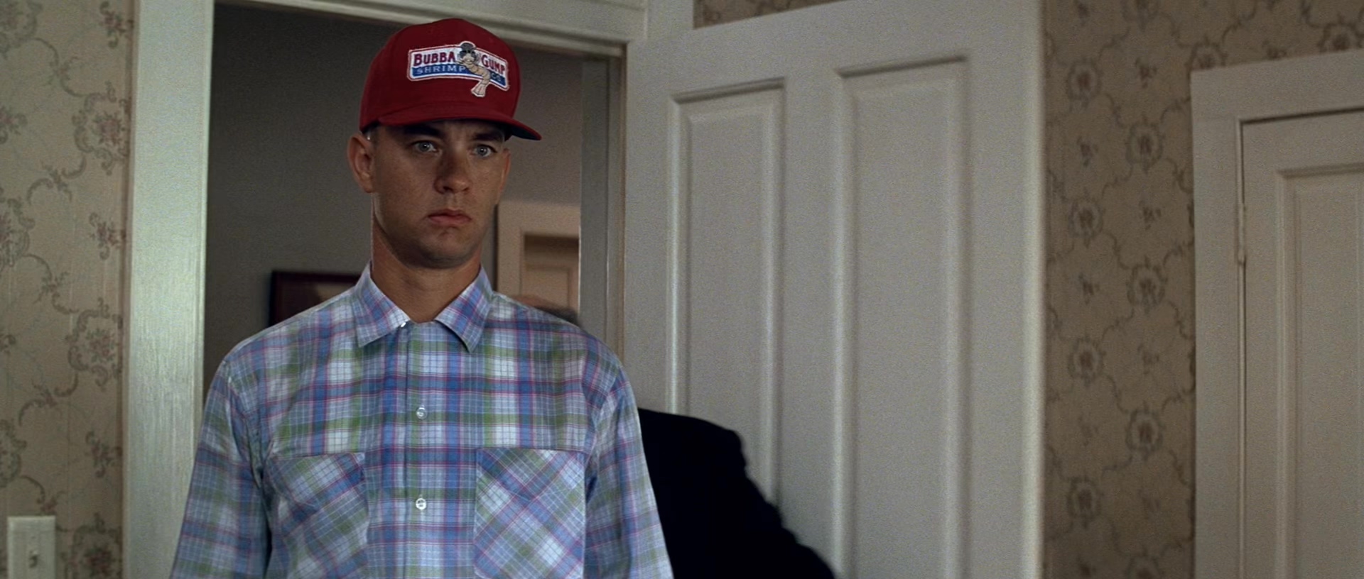 阿甘正传.Forrest.Gump.1994.2Audio.CN.mkv_20250704_195316.958.jpg