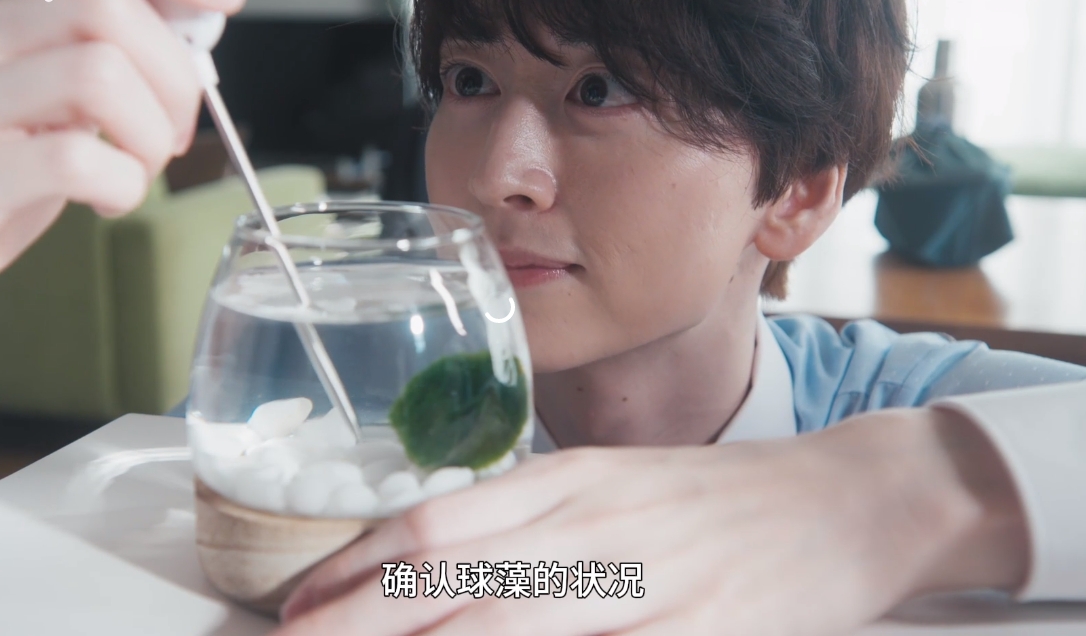 微信截图_20250706153944.png