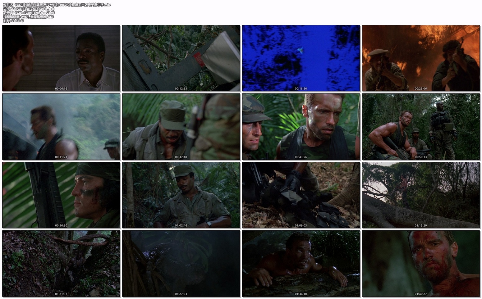 1987.铁血战士(满屏版107分钟).1080P.央视浙卫六区粤英意中字.mkv.jpg