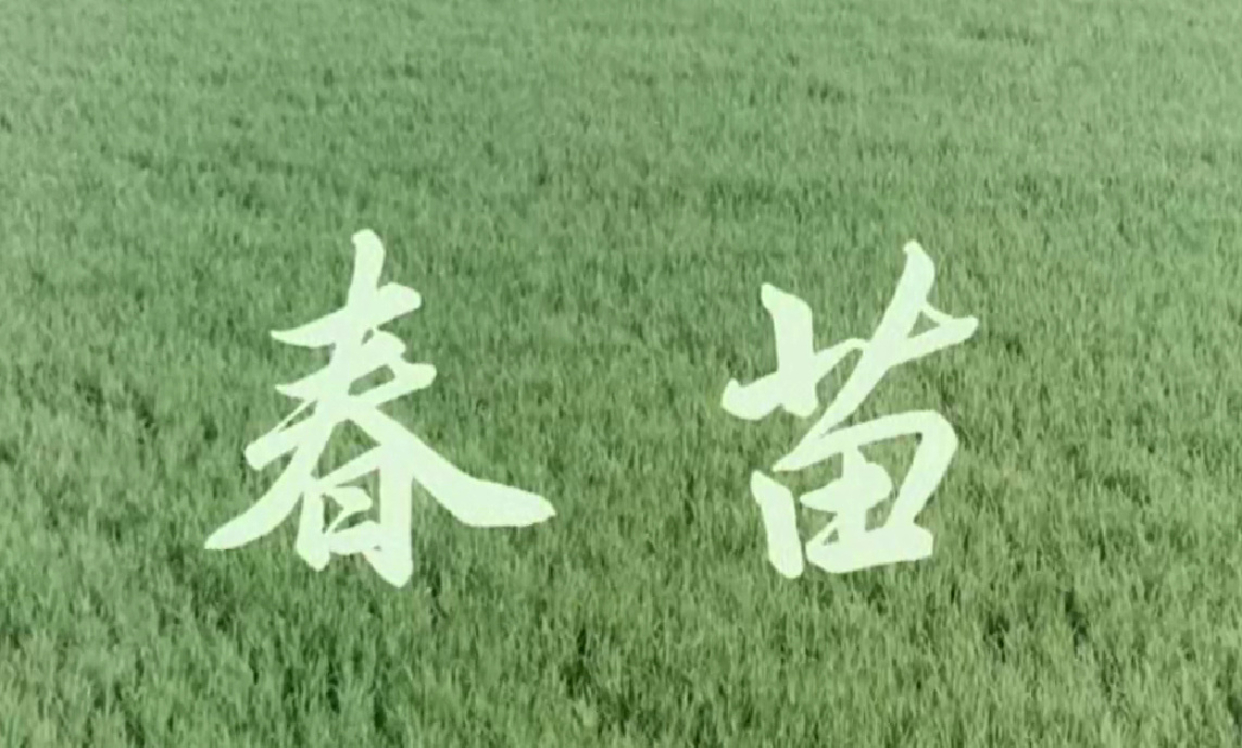 微信图片_2025-08-02_165008_672.jpg
