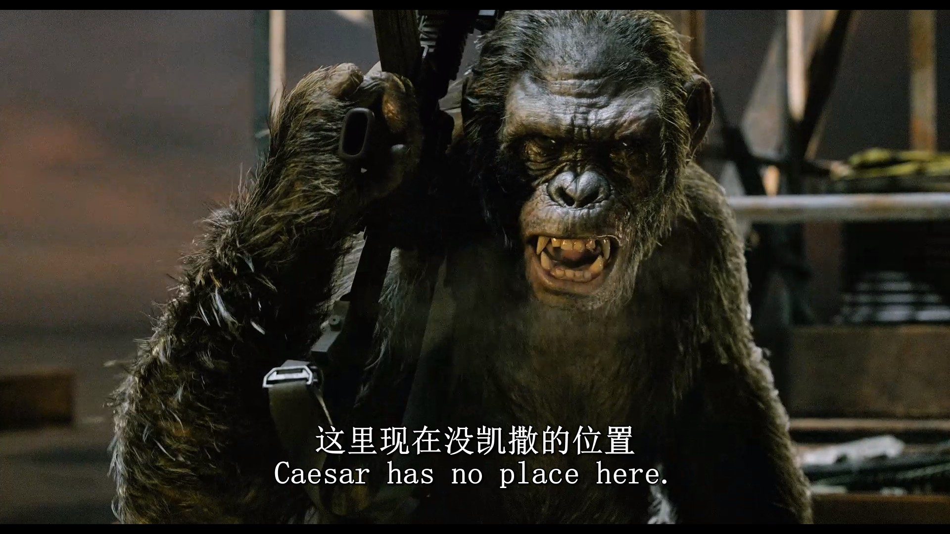 企业微信截图_17547150403060.jpg