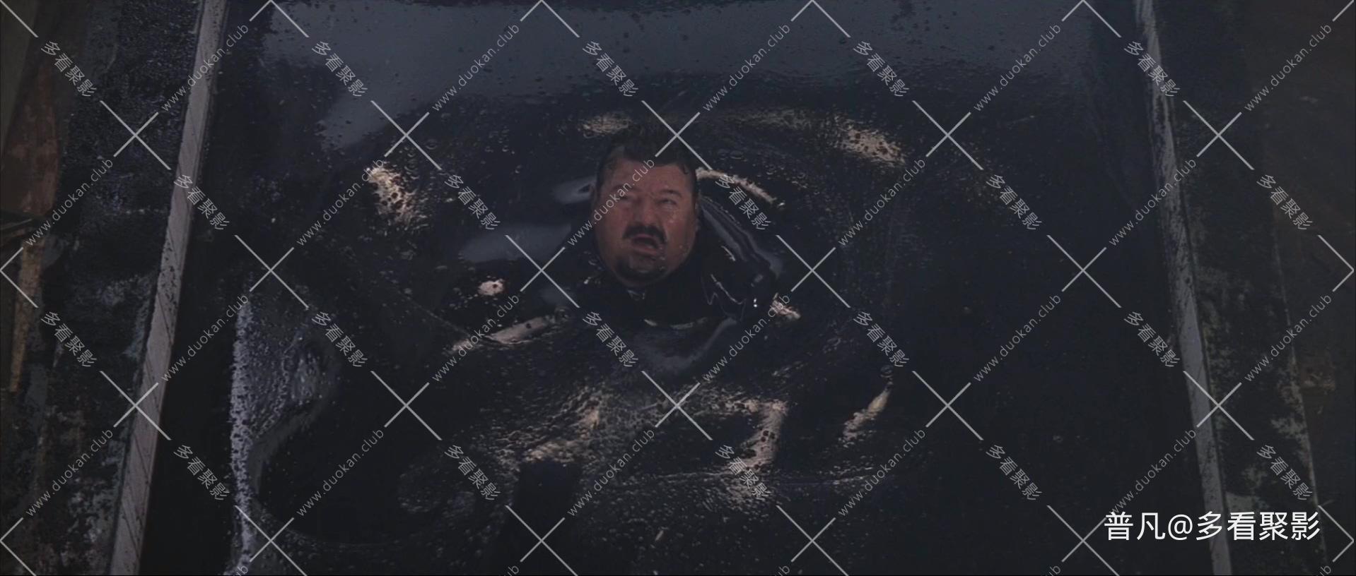 007系列第19部：黑日危机.The.World.Is.Not.Enough.1999.3Audio.CN.mkv_20250818_151918.078.jpg