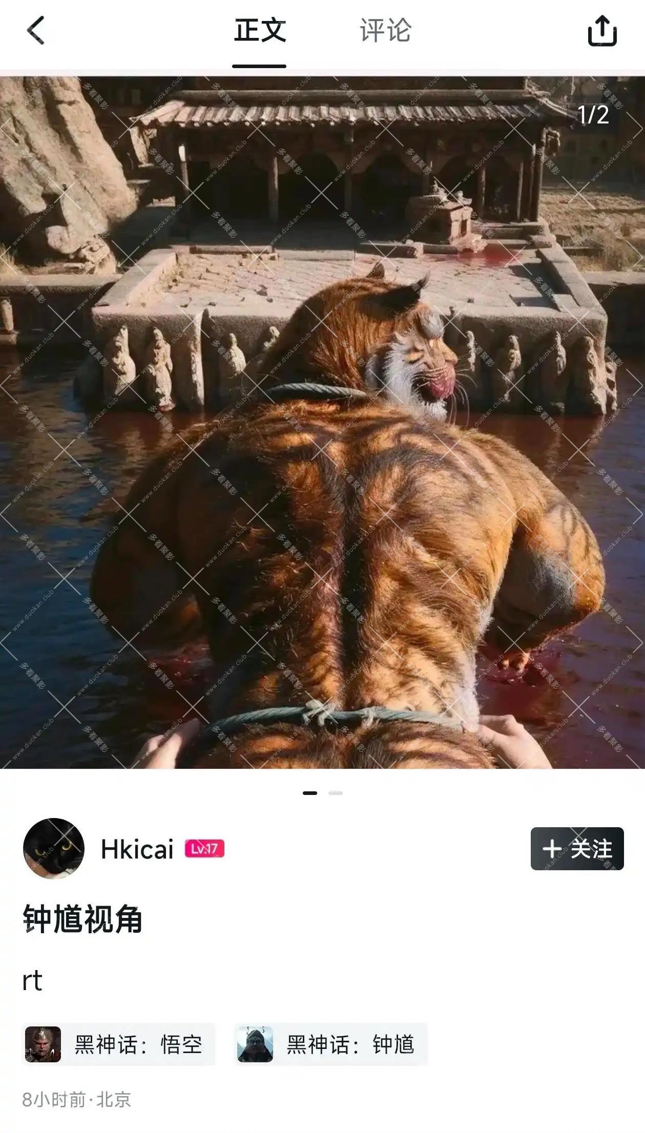 02.jpg