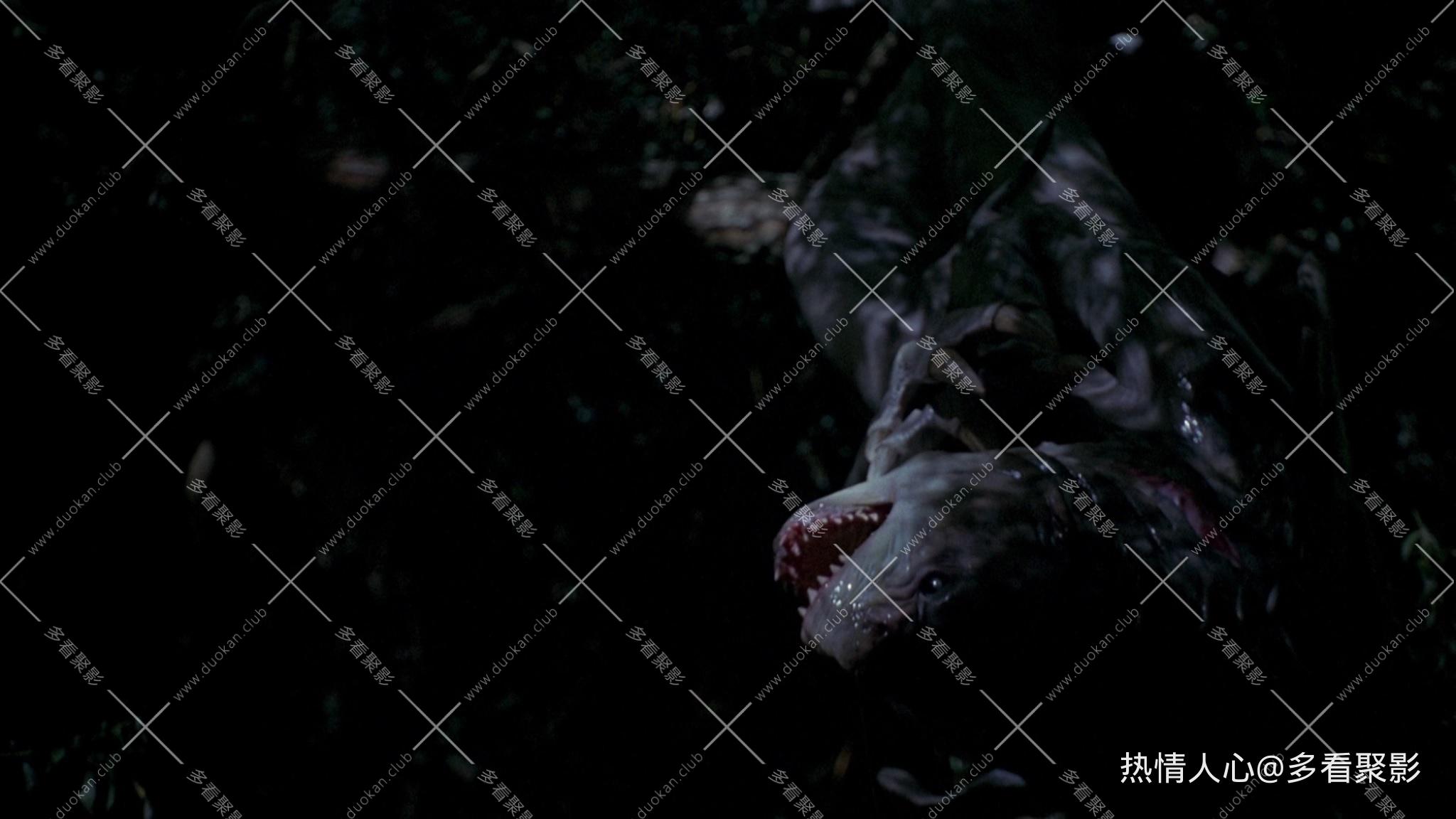 无标题53434.jpg