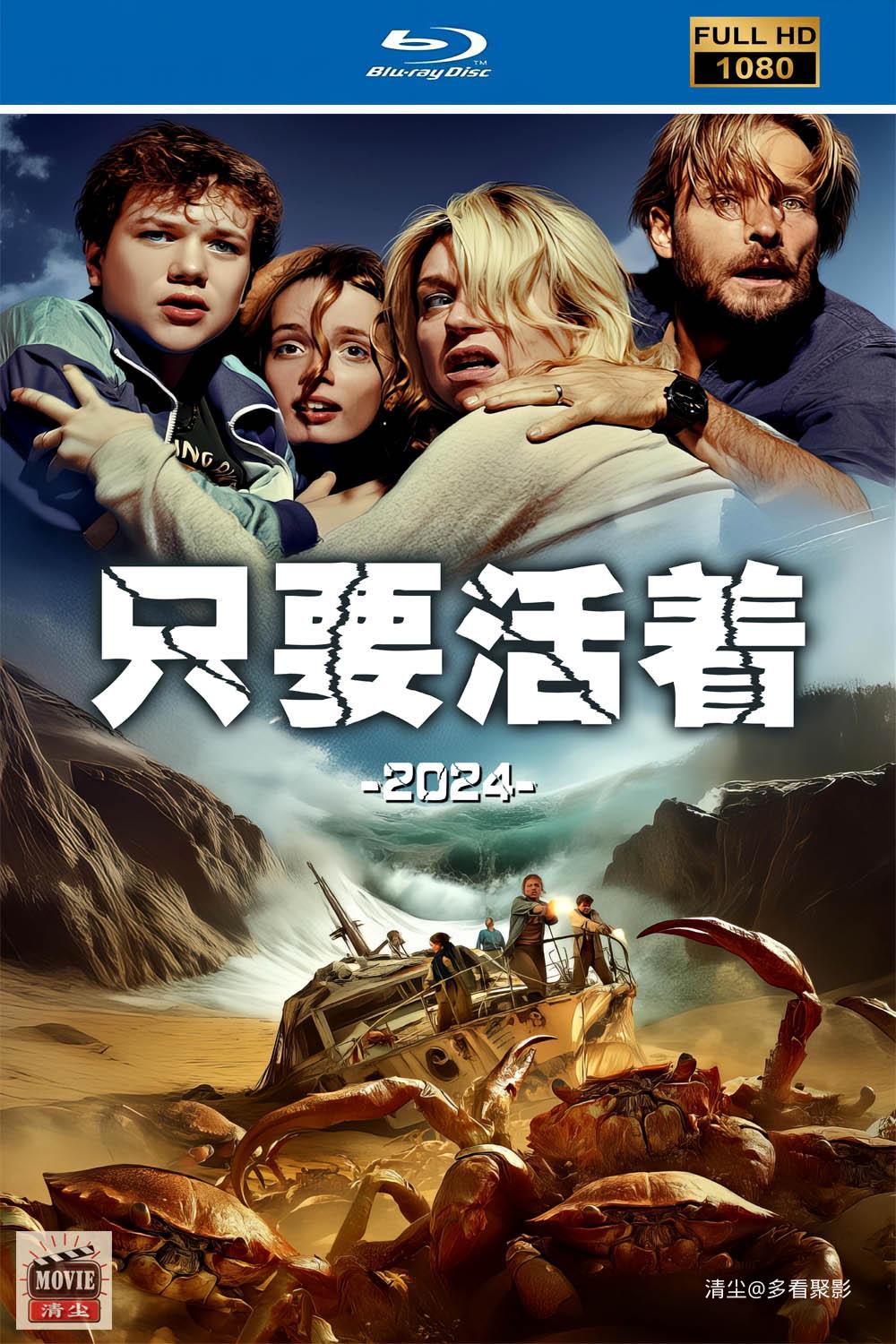 版面图.jpg