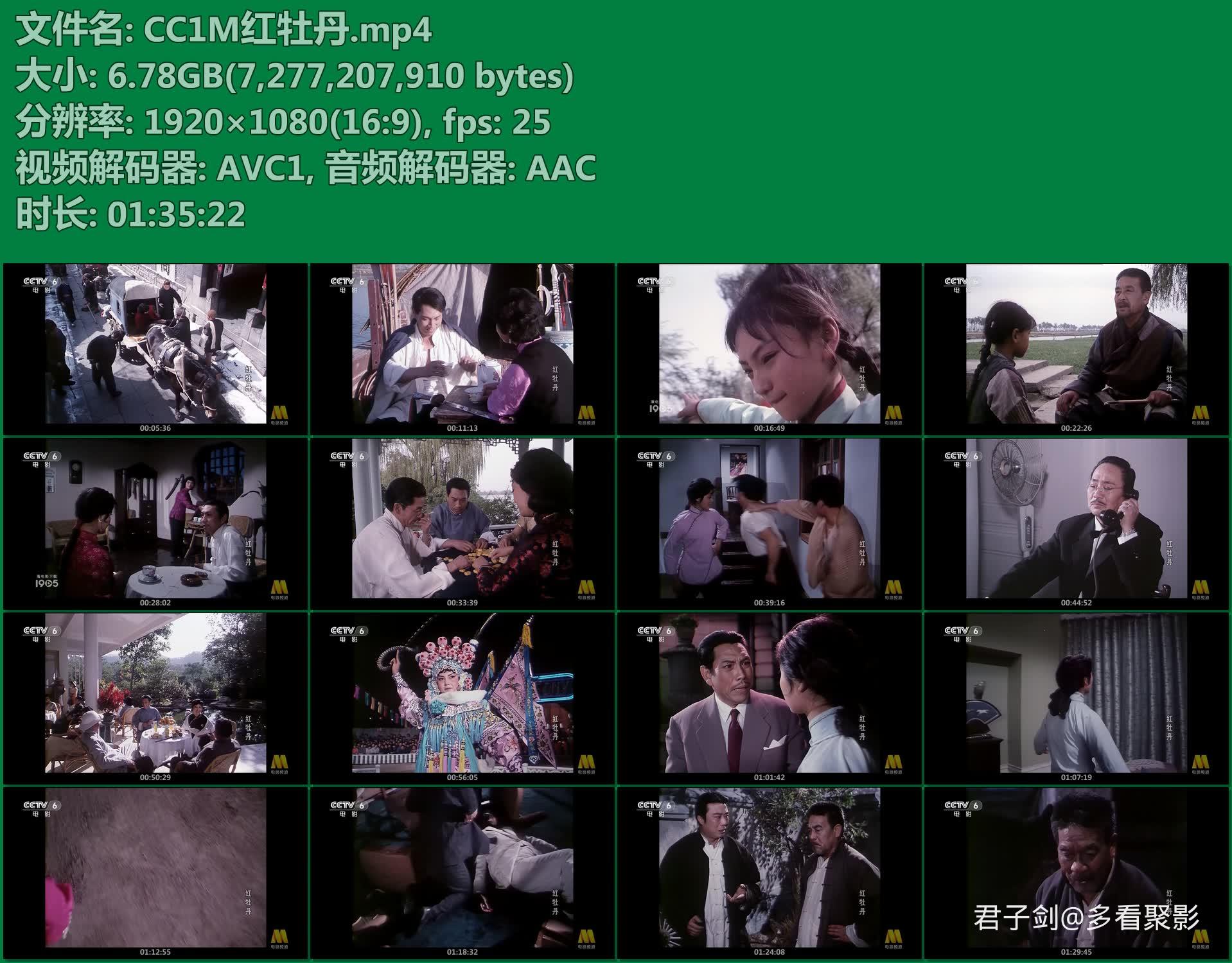 CC1M红牡丹.mp4.jpg