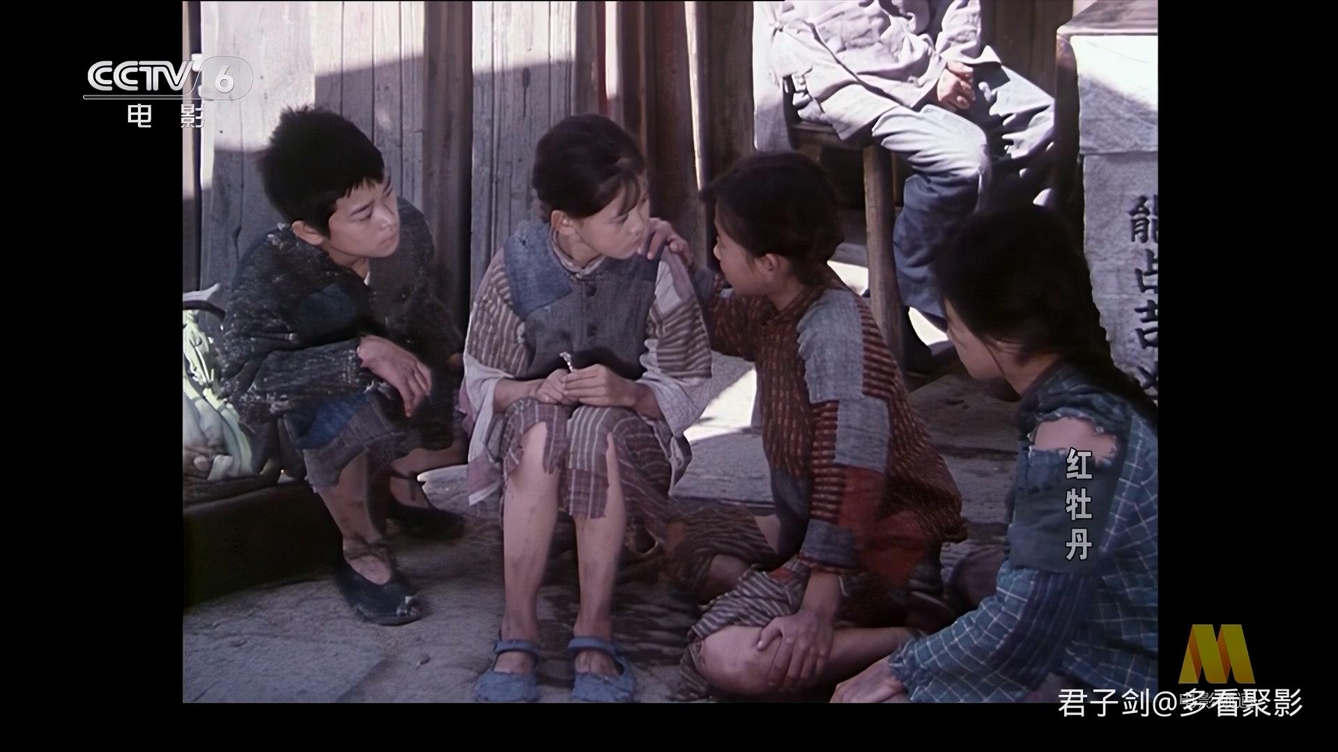 CC1M红牡丹.mp4_20250923_061547.391.jpg