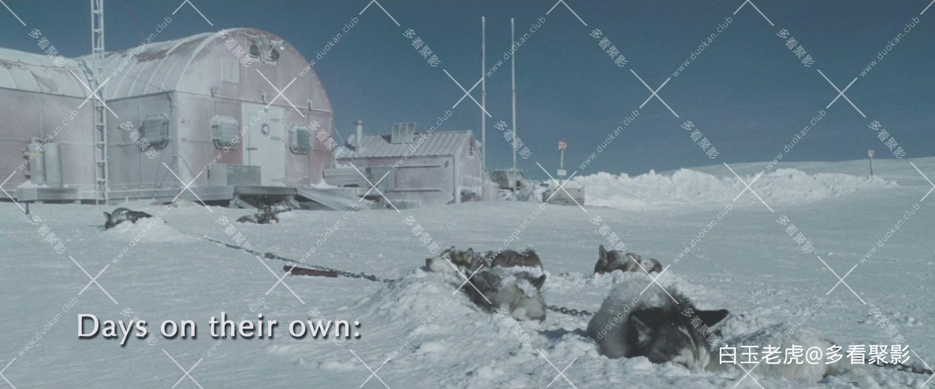 Eight.Below.2006.BluRay.1080p.2Audio.DTS-HD.MA5.1.x265.10bit-ALT.mkv_20250927_11.jpg