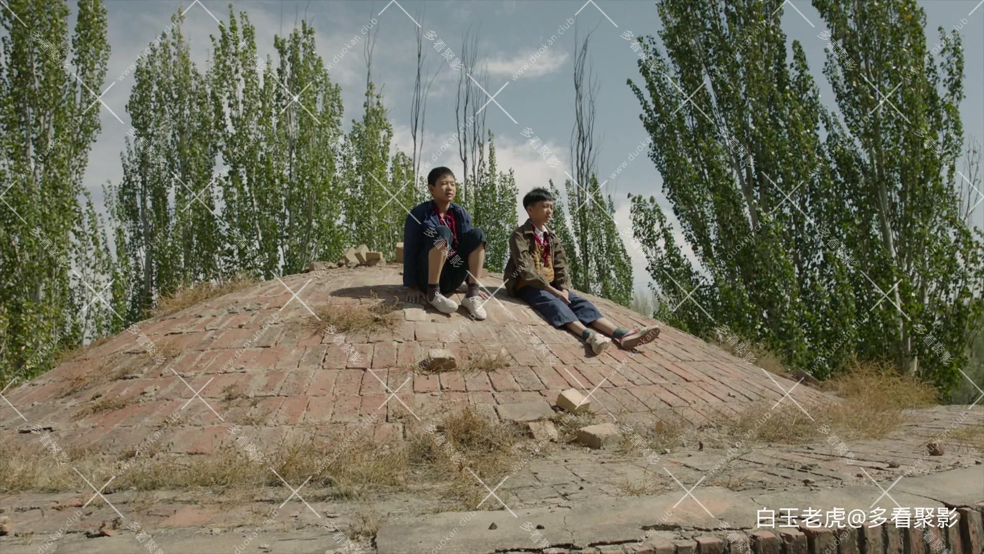 So.Long.My.Son.2019.FRA.BluRay.1080p.DTS-HD.MA.5.1.x265.10bit-DreamHD.mkv_202509.webp