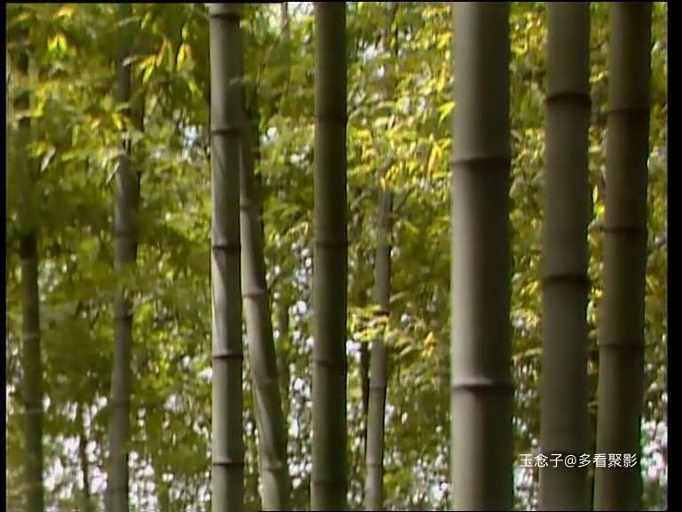 09.意绵绵静日玉生香.mkv_20251002_100218.544.jpg