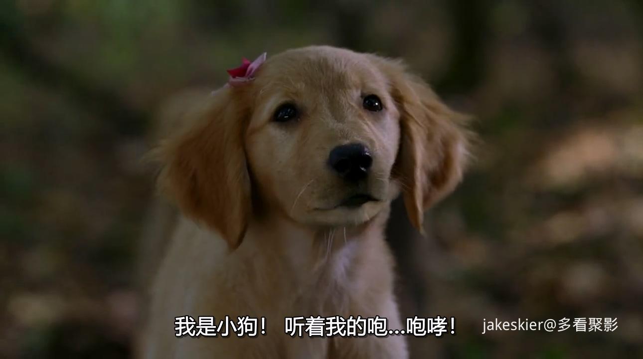 2006.飞狗巴迪6：神犬小巴迪(80分钟).720P.国英中字.mkv_20250926_234921.044.jpg