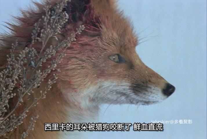 1978.狐狸的故事(117分钟).480P.上译日中字.mkv_20250928_132523.891.jpg