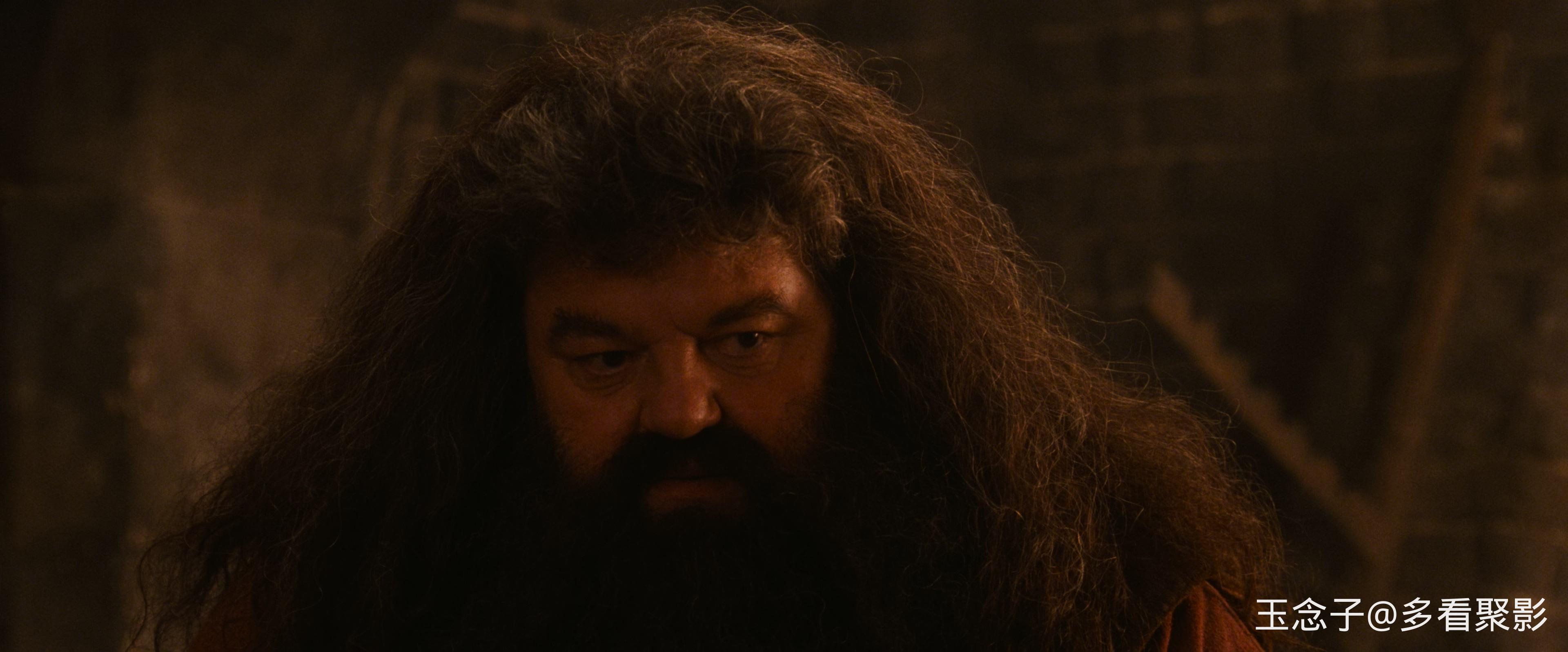 1.Harry.Potter.and.the.SorcererStone.2001.UHD.BluRay.2160p.10bit.DoVi.4Audio.DTS.jpg