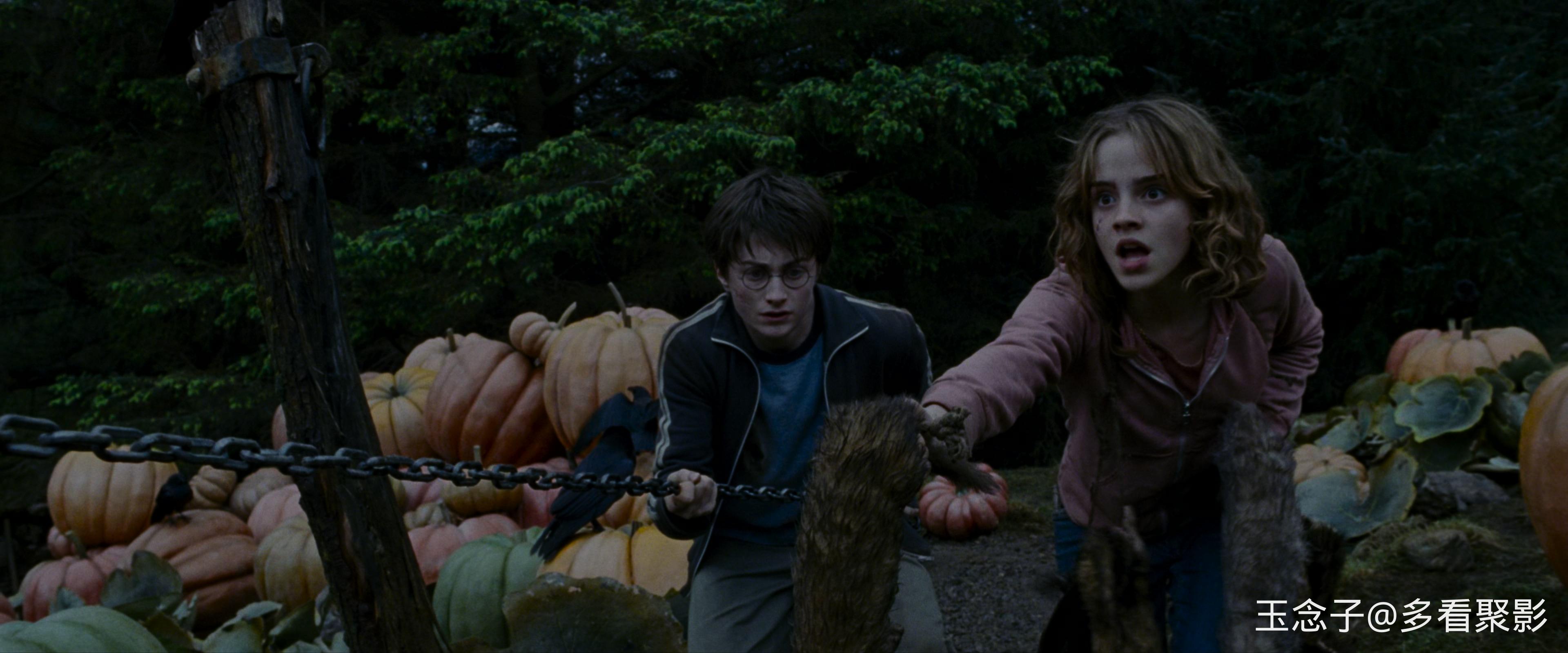 3.Harry.Potter.and.the.Prisoner.of.Azkaban.2004.UHD.BluRay.2160p.10bit.DoVi.5Aud.jpg