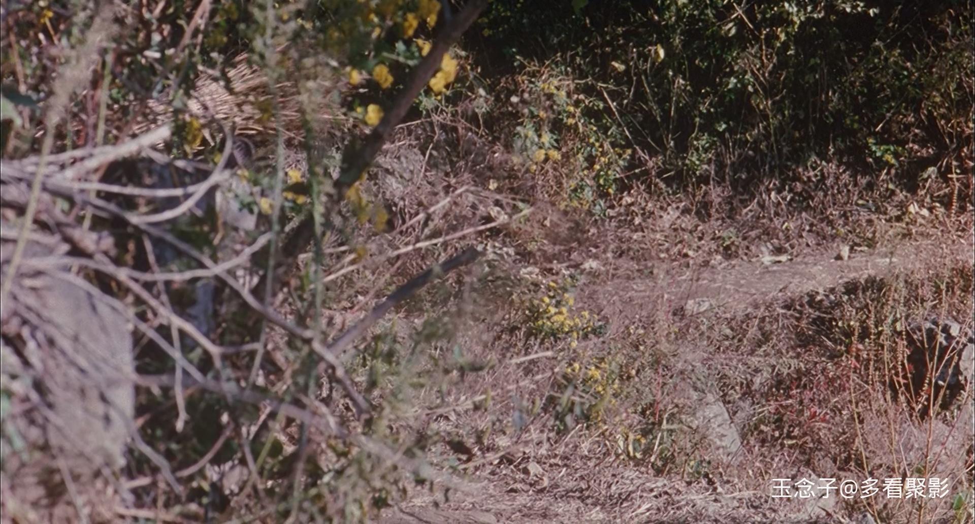 爱·回家.The.Way.Home.2002.Bluray.1080p.x265.AAC.2Audios.mkv_20251004_092046.528.jpg