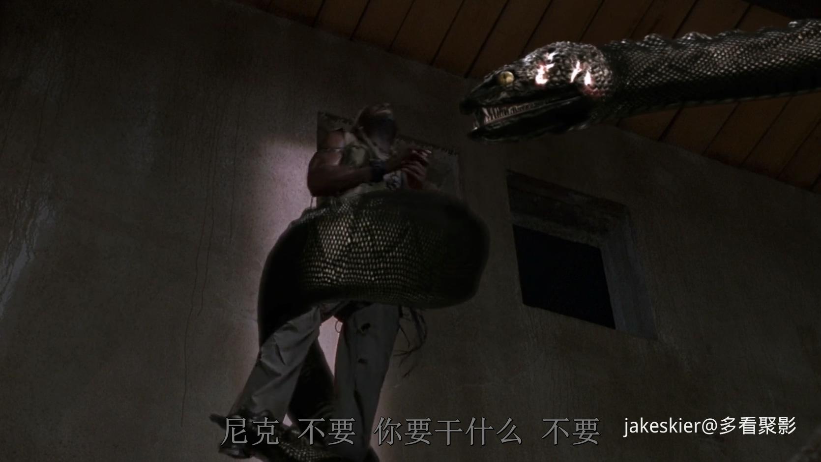 2008.狂蟒之灾3(满屏版91分钟).1080P.东影爱奇艺英中字.mkv_20250929_212441.671.jpg