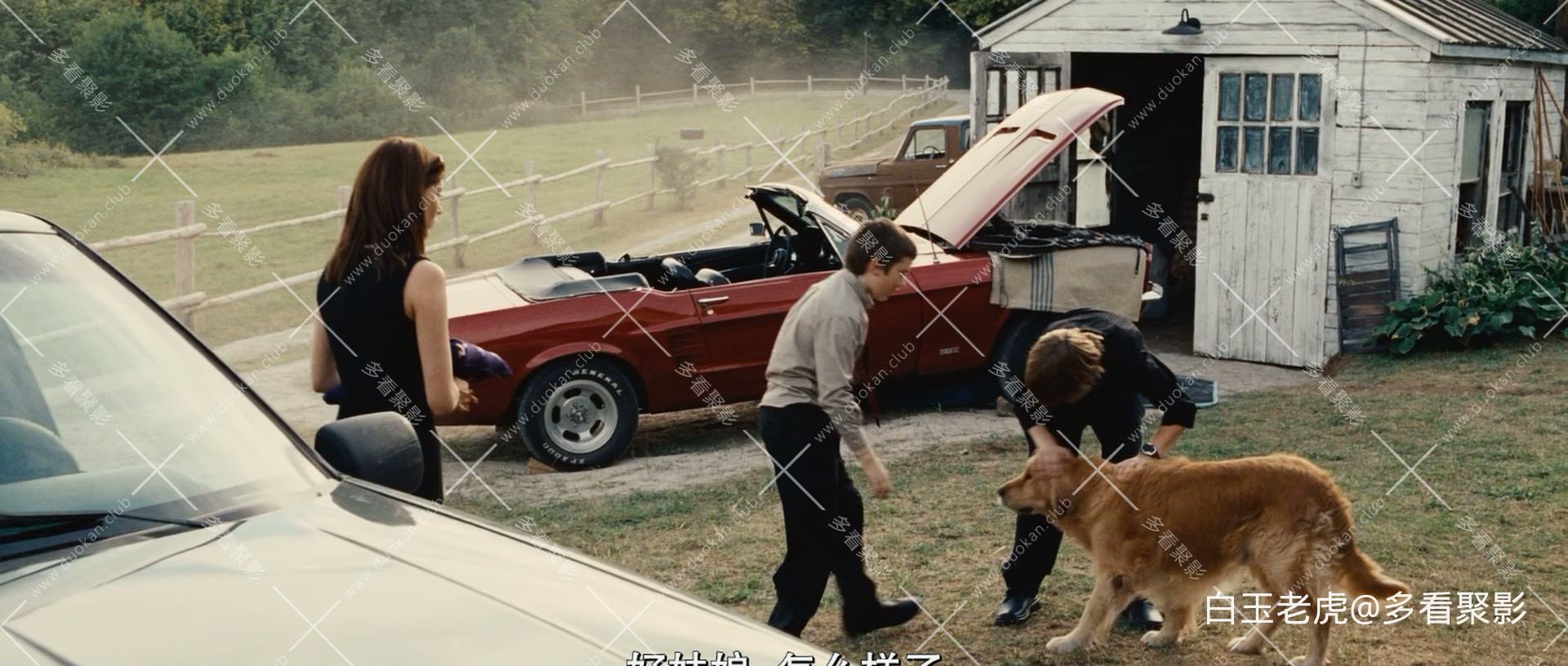 Running.Scared.2006.BluRay.1080p.DTS-HD.MA.5.1.x265.10bit-DreamHD.mkv_20251006_1.jpg