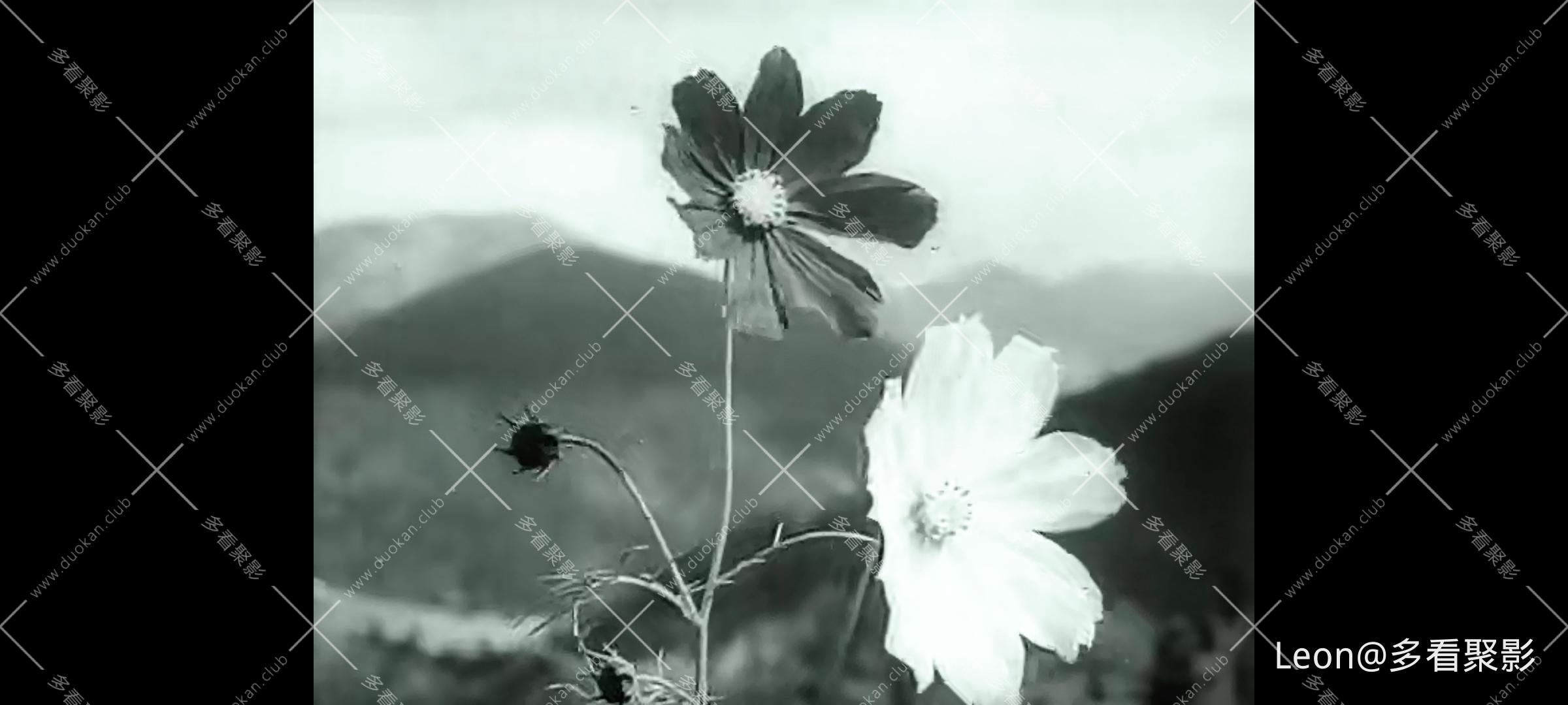 Screenshot_20251008_012713.jpg