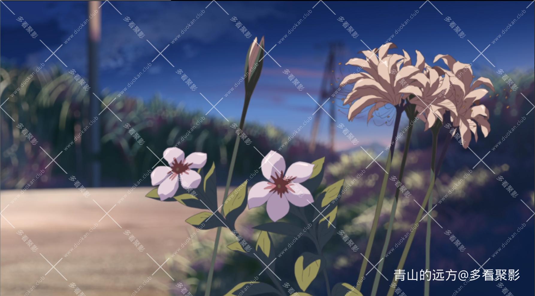 Snipaste_2025-10-04_09-02-29.png