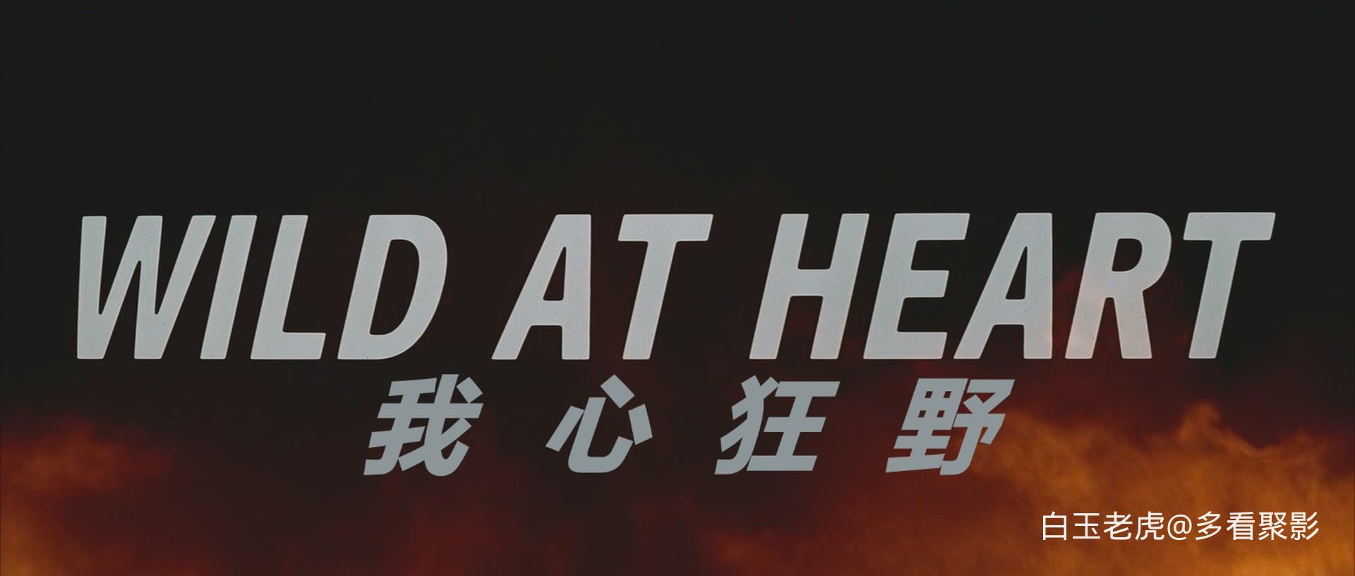 Wild.at.Heart.1990.1080p.BluRay.x265.10bit.DTS-QuickIO.mkv_20251014_004406.251.jpg