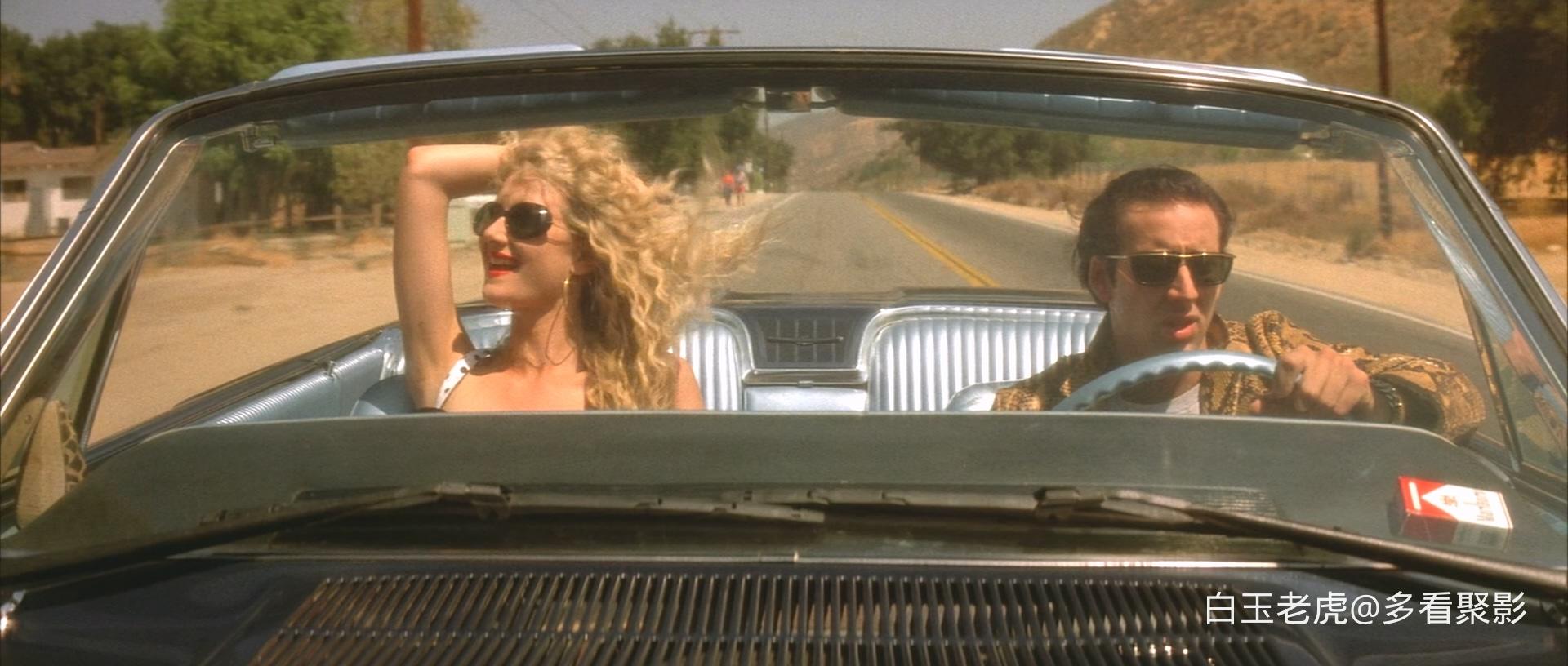 Wild.at.Heart.1990.1080p.BluRay.x265.10bit.DTS-QuickIO.mkv_20251014_004636.778.jpg