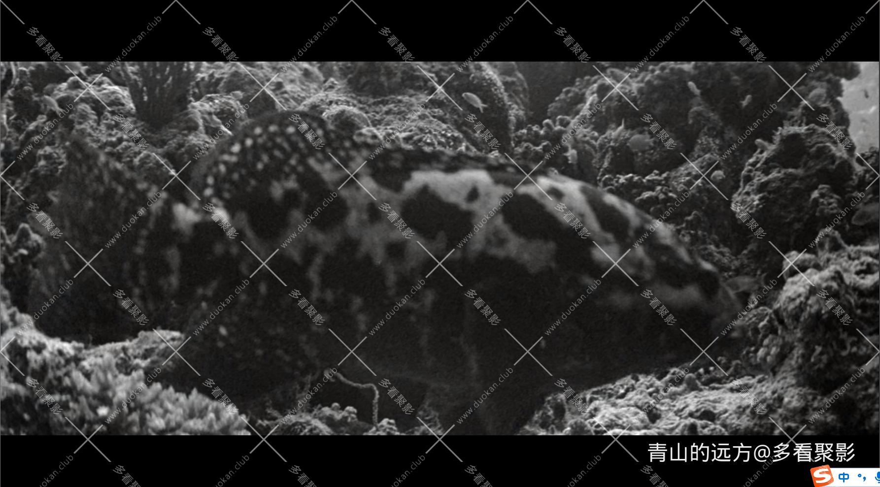 Snipaste_2025-10-18_18-18-25.png
