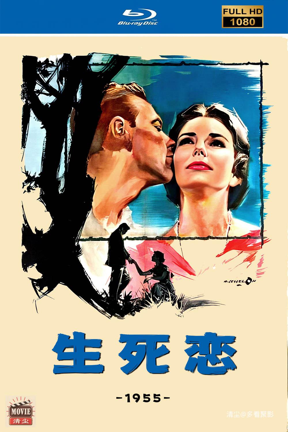 版面图.jpg