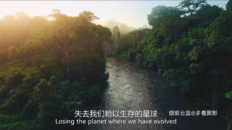 零水日.中英双字.2021.1080P.WEB-DL.H264.AAC-SJDY.mp4_115生活(曾用名“115网盘”)_.png