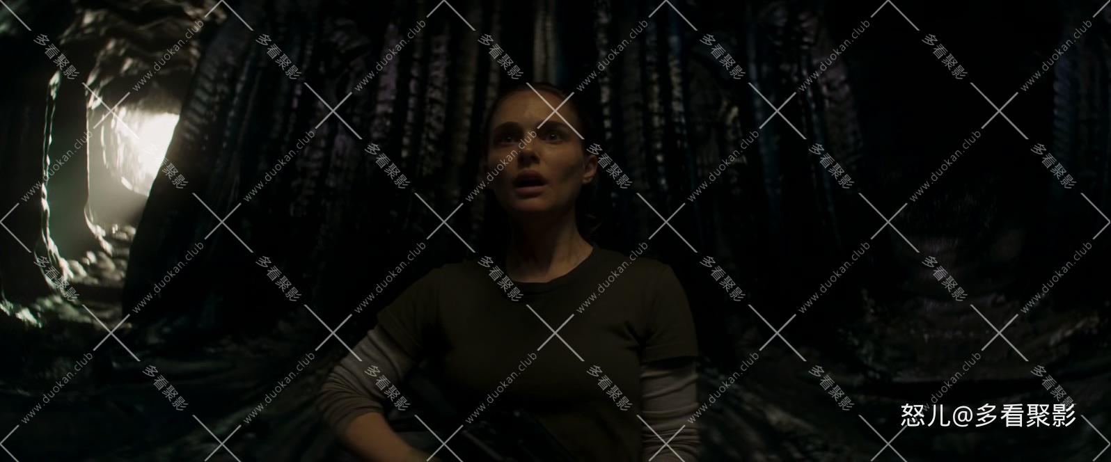 湮灭.Annihilation.2018.BluRay.x265.HEVC.10bit.2Audios.AAC.1080P.YYH3D特效字幕.mk.jpg