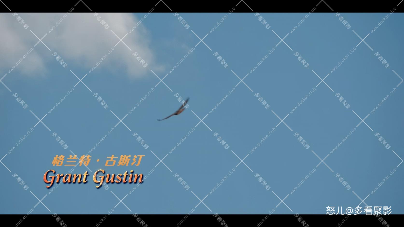 义犬救主.Rescued.by.Ruby.2022.1080p.NF.WEBrip.x265.2audio特效字幕.mkv_20251111_1.jpg