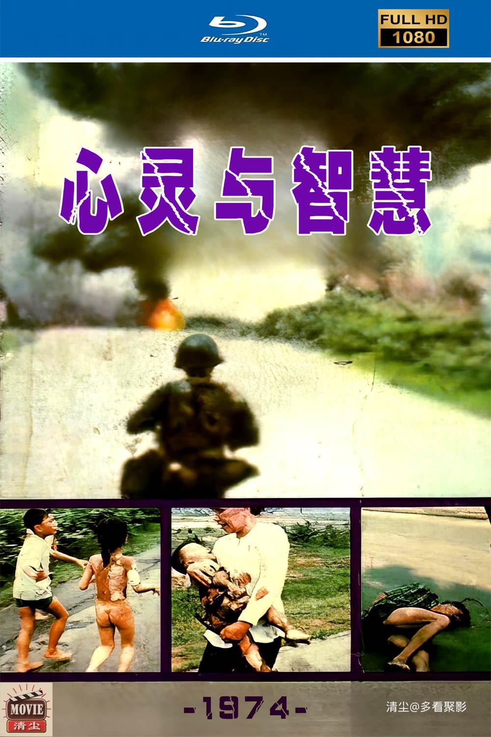 版面图.jpg