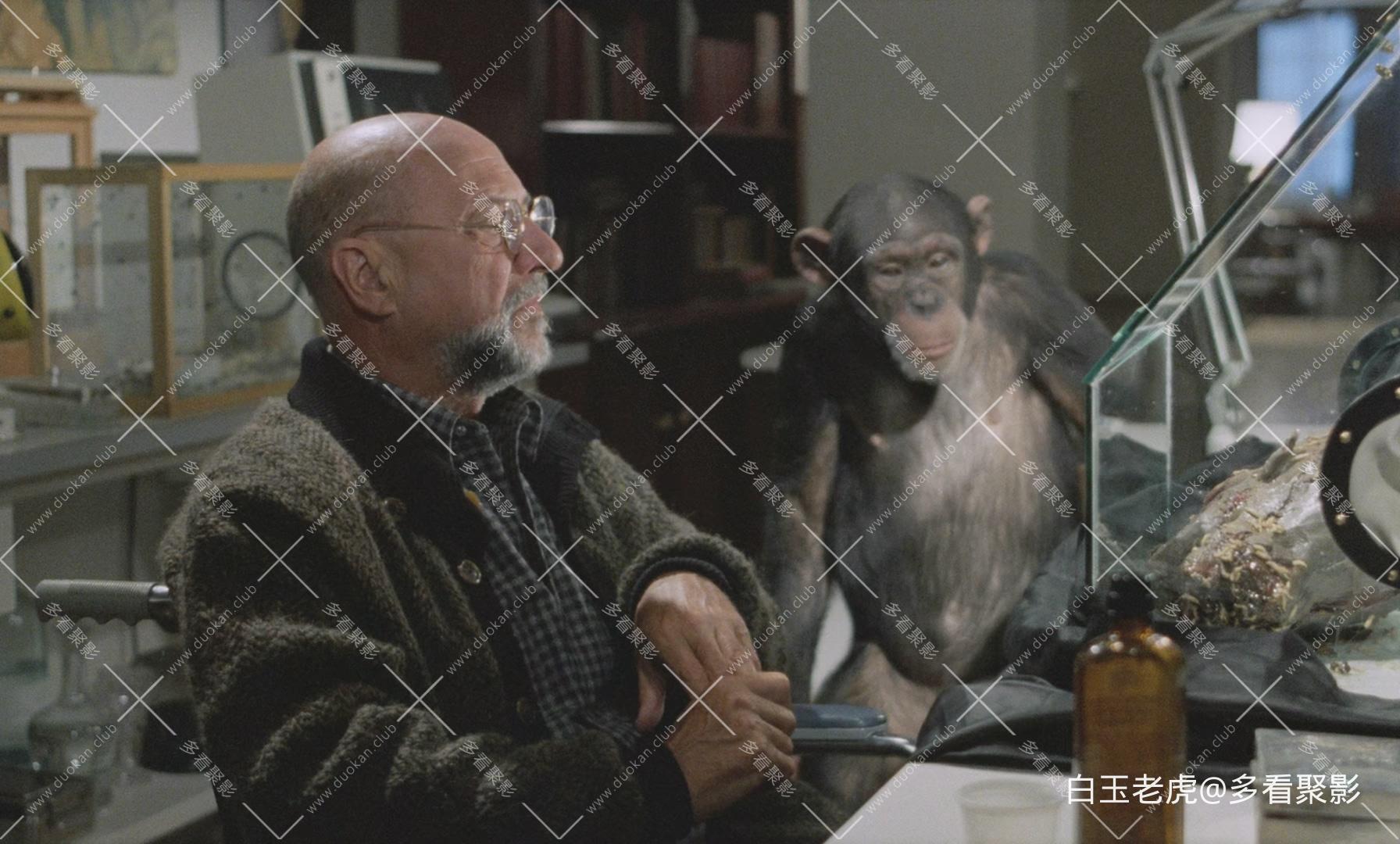 Phenomena.1985.Italian.Cut.ARROW.BluRay.1080p.DTS-HD.MA5.1.x265.10bit-ALT.mkv_20.jpg