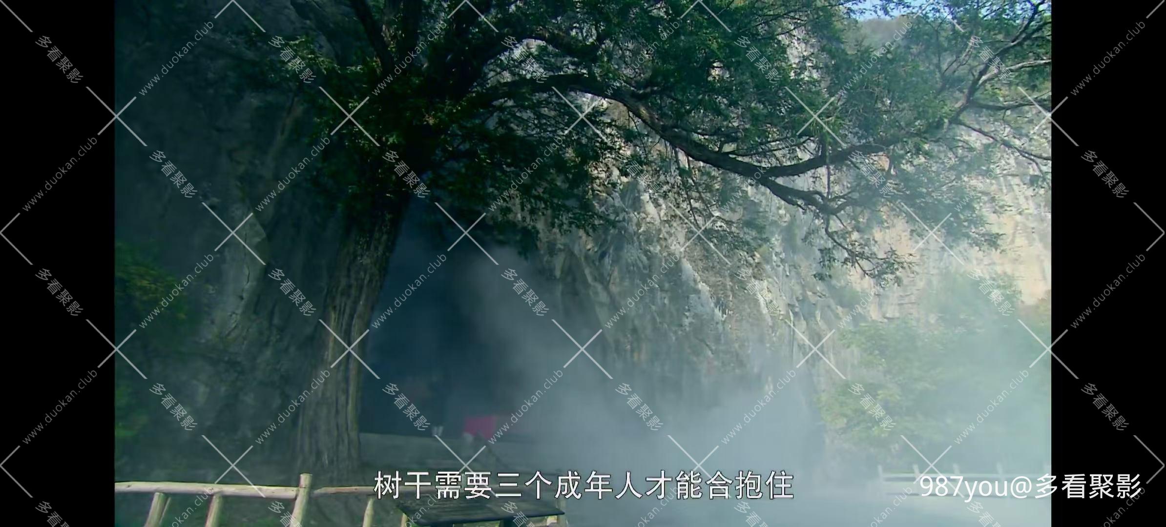 微信图片_20251218102052.jpg
