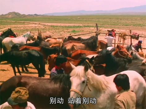 1987[00_56_17][20251221-145853].png