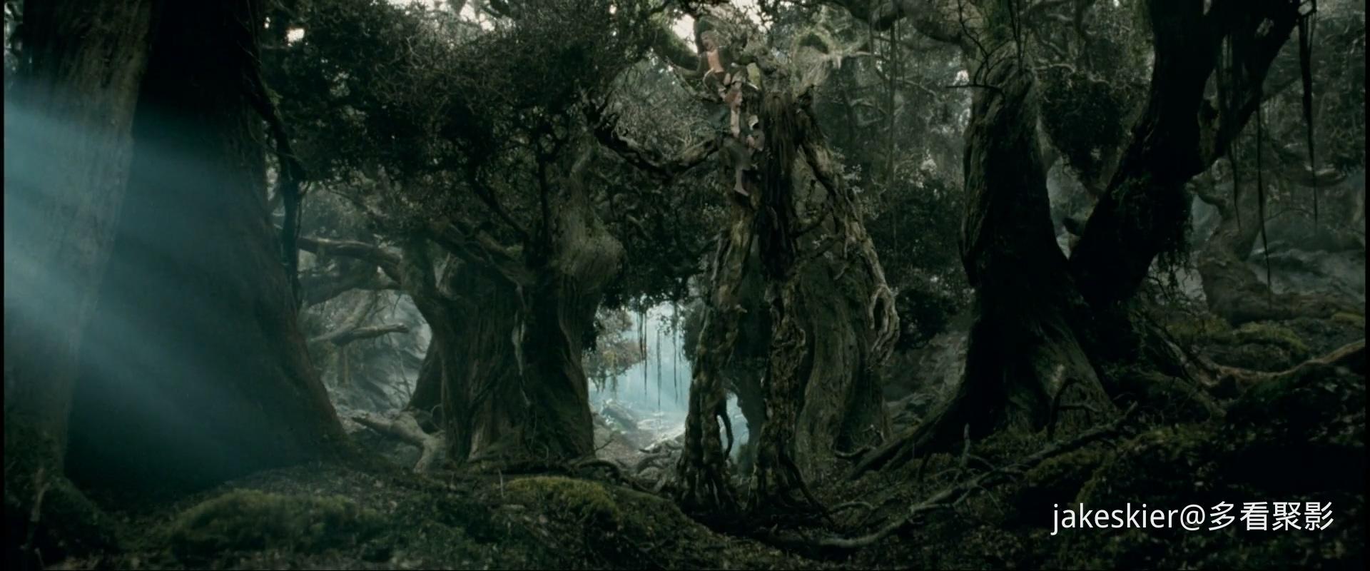 2002.指环王2：双塔奇兵(加长版236分钟).1080P.八一台英特效注释对应中字.mkv_2025122.jpg