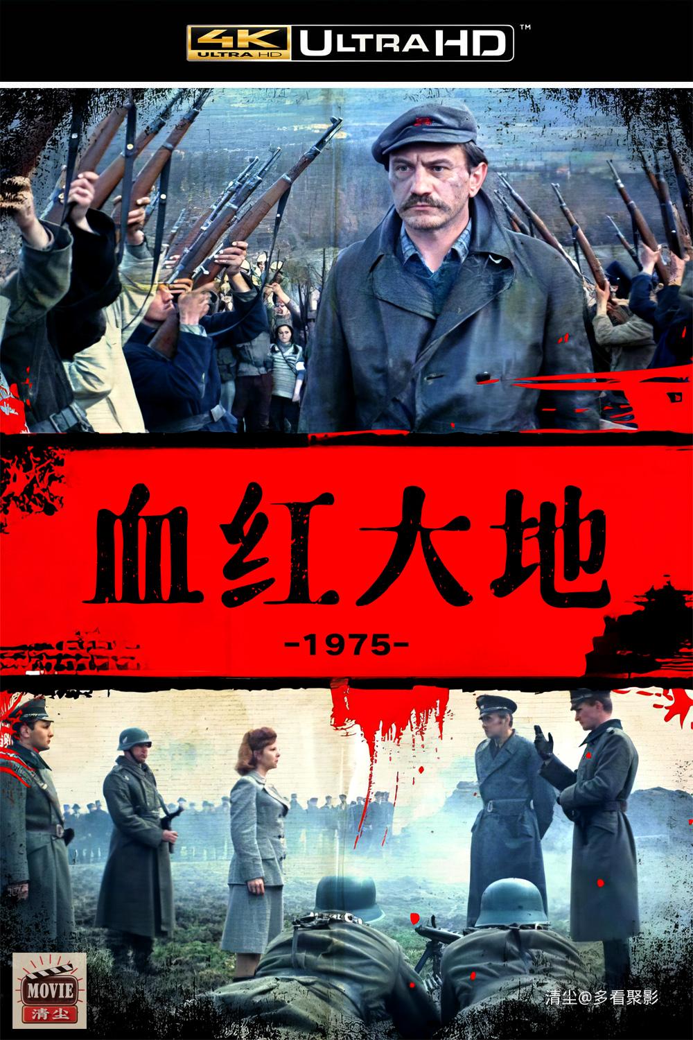 版面图.jpg