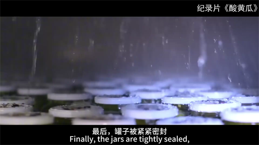 记录片酸黄瓜[00_09_19][20260109-144331].png