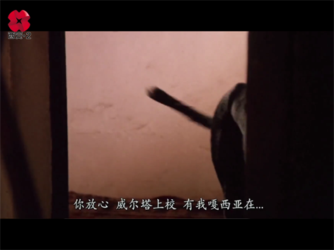 佐罗1975[01_52_37][20260123-173926].png