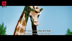 动态图 (1).gif