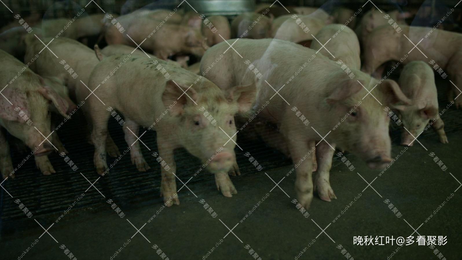 Contagion.2011.Proper.BluRay.1080p.DTS.HDMA.x265.10bit-DreamHD.mkv_20260317_105421.112.jpg