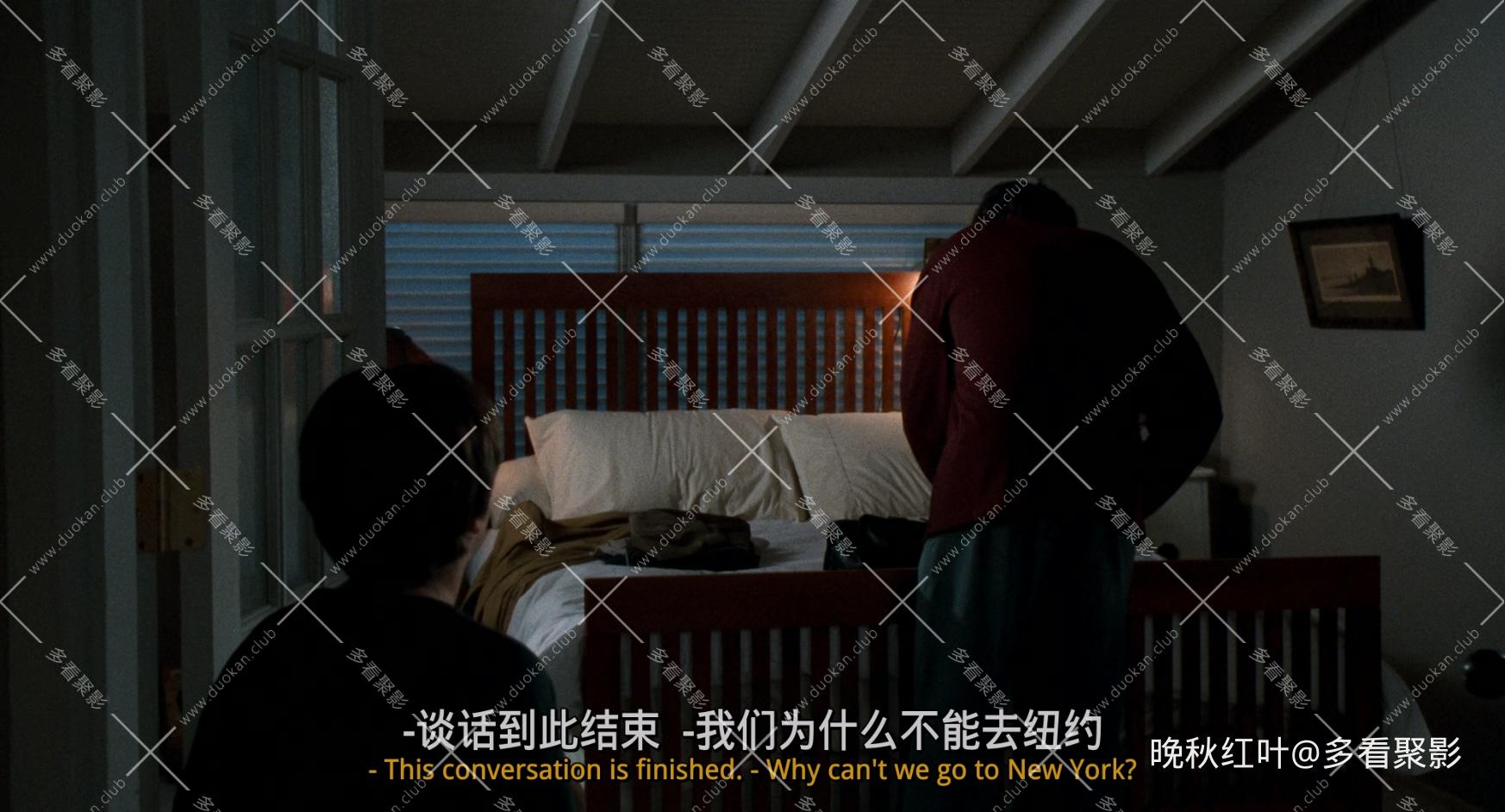 Sleepless.in.Seattle.1993.1080p.BluRay.x265.10bit.DTS.3Audio-SONYHD.mkv_20260324.jpg