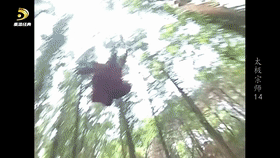 [多看聚影_太极宗师]14[00_20_36--00_20_39].gif