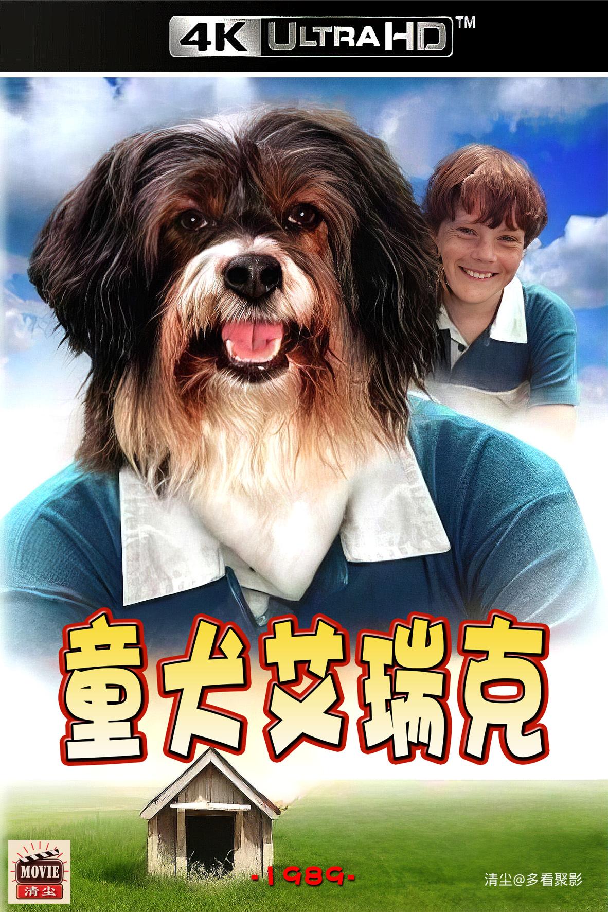 版面图.jpg