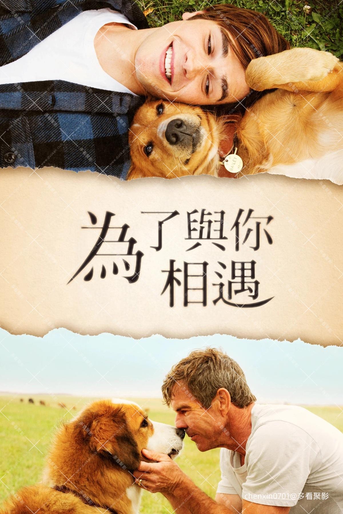 為了與你相遇.jpg